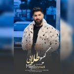 دانلود آهنگ گیسو طلایی  از مجید احمدی