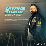 دانلود آهنگ نشو نشو عشق من نشو نشو از وحید مرادی