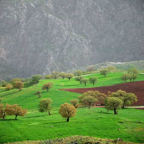 شیرین و فرهاد