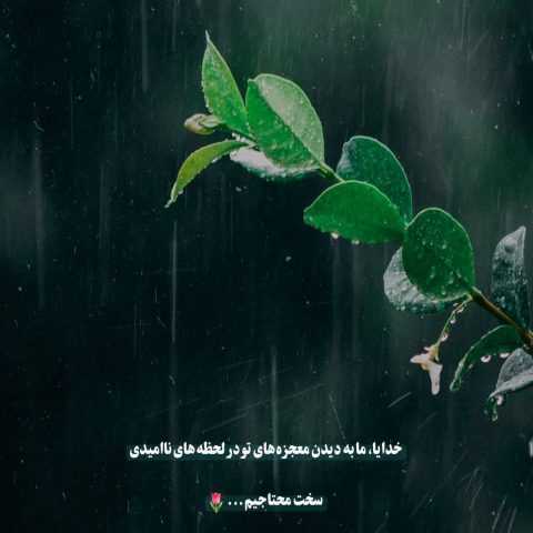 داغی شدی رو دلم