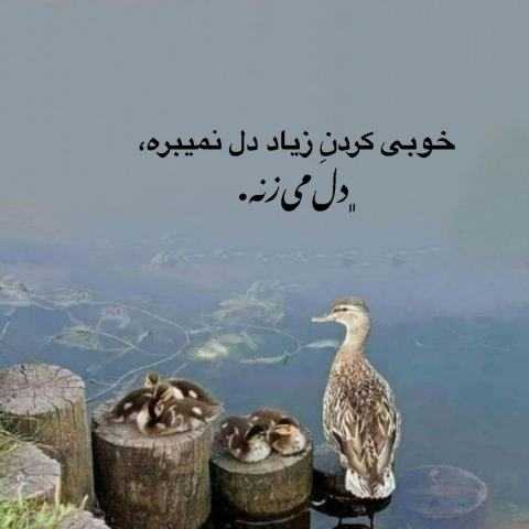 هم دلم شکسته از تو هم هنوز میمیرم برات پسر کره ای