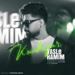 دانلود آهنگ کوهیار به نام ببین اگه بری دق میکنم