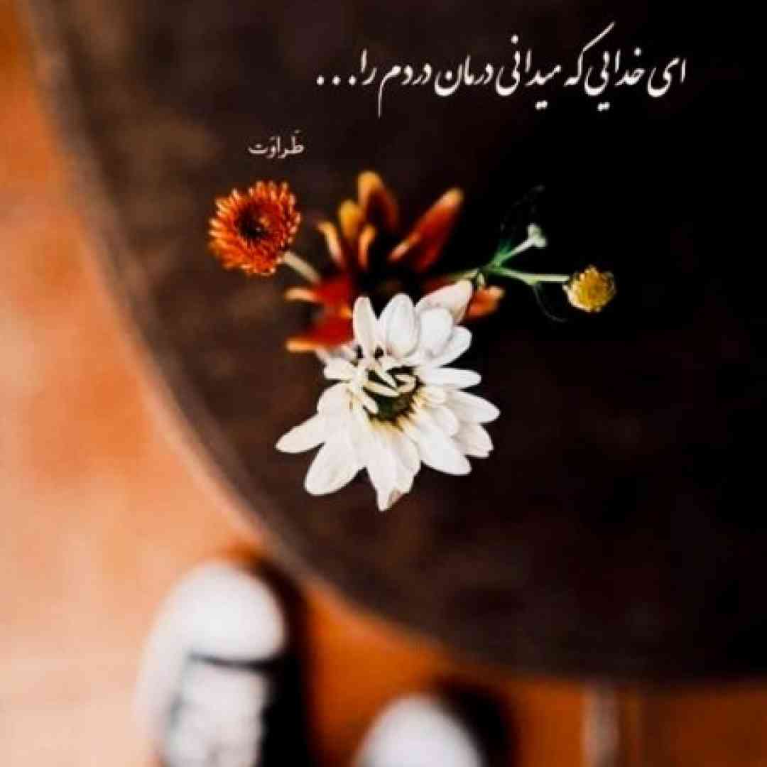 تنهایی بعد دل دادن به تو کجا