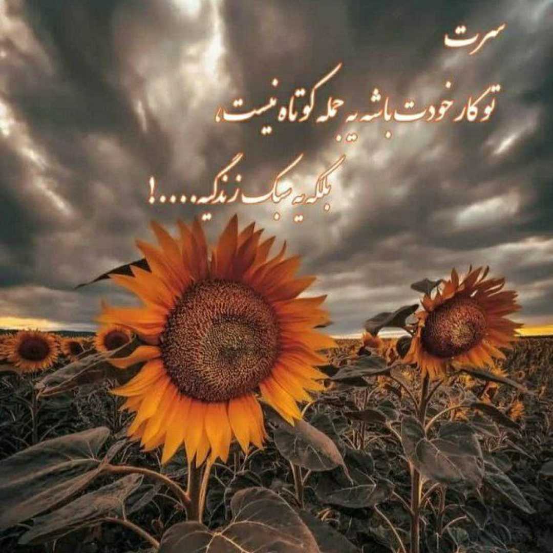 عزیز رویاهام مریم