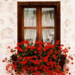 دانلود آهنگ جدید ای خدای مهربون