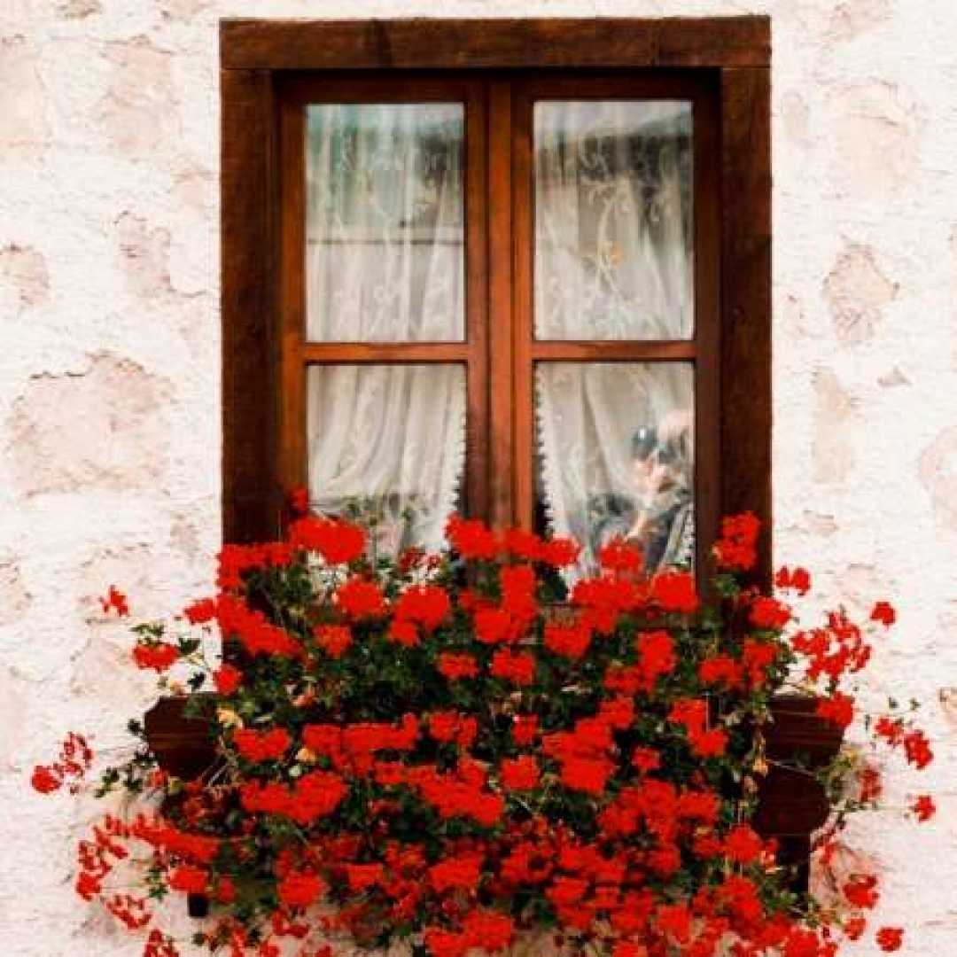 ای خدای مهربون