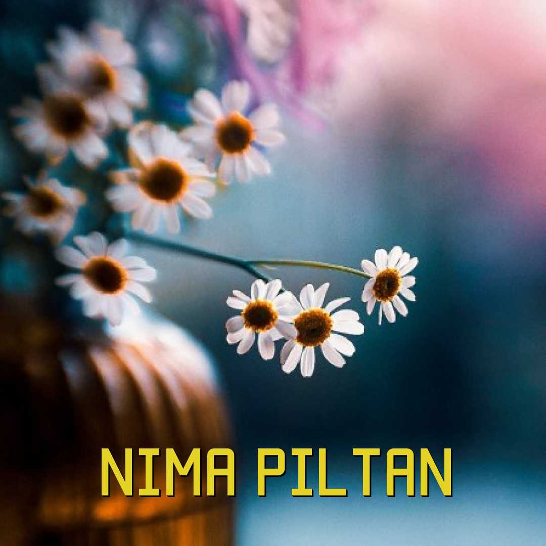 نیما پیلتن روت حساسم