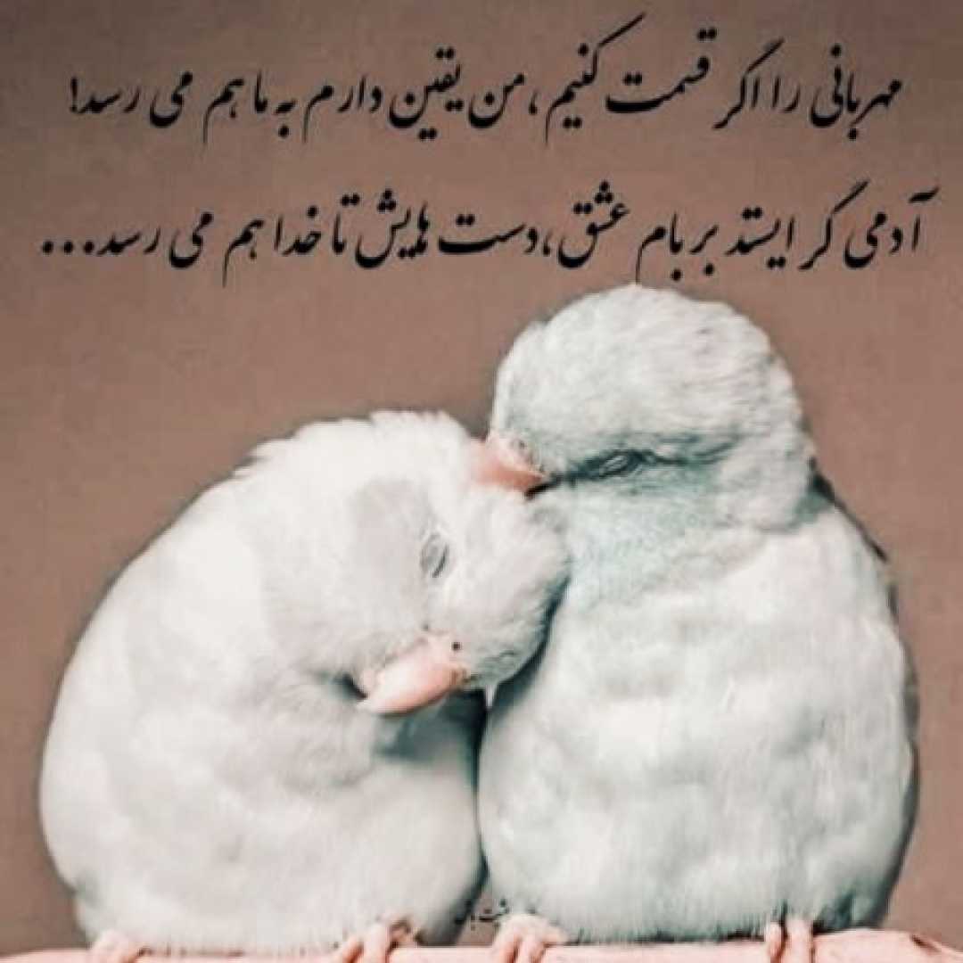 سلامتی چشای تو تویی که دنیای منی