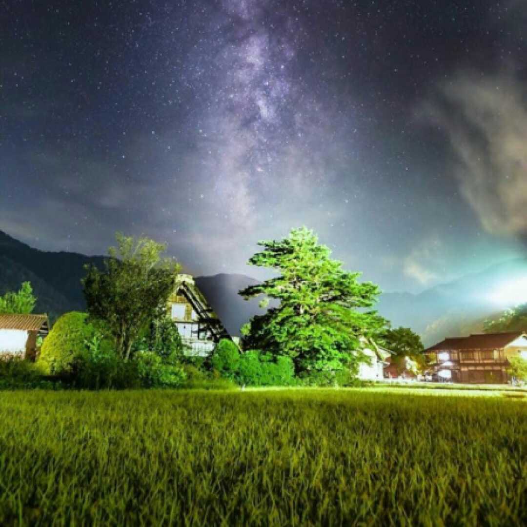 یه روزی میخواستمت