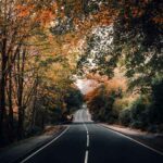 دانلود آهنگ جدید زبونم لال
