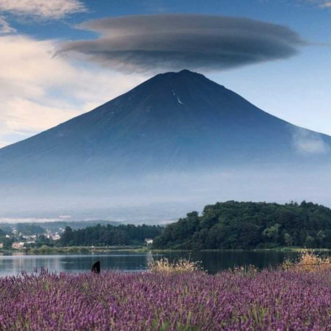 دل ساده خوش باوره فکر میکنه میای