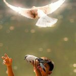 دانلود آهنگ جدید کاری ندارم با گلت