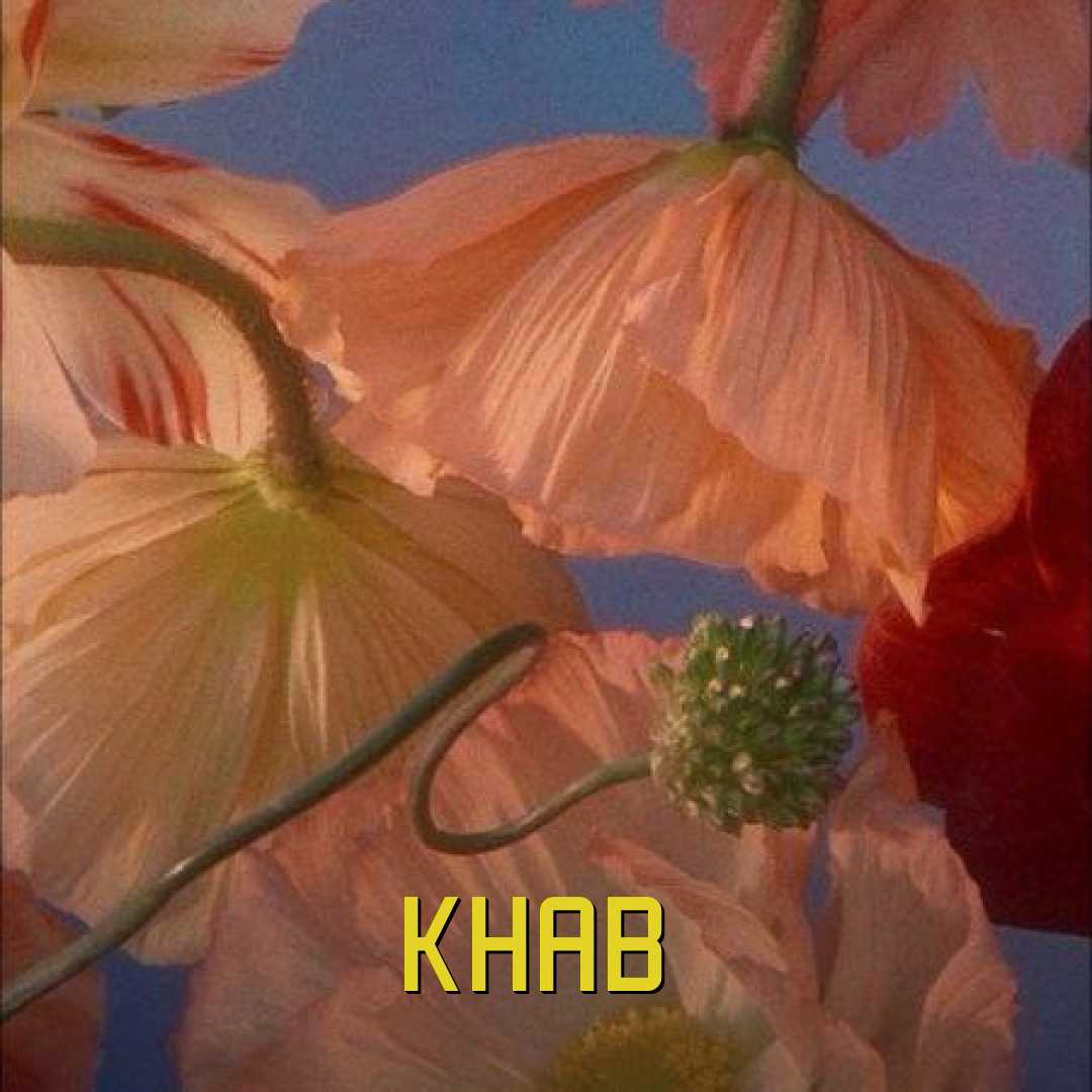 رپ خواب تتلو و یاس و شایع و صادق و خلسه و مسلک 