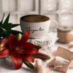 دانلود آهنگ جدید نمیبره دل ازت اون قد رعنای تو
