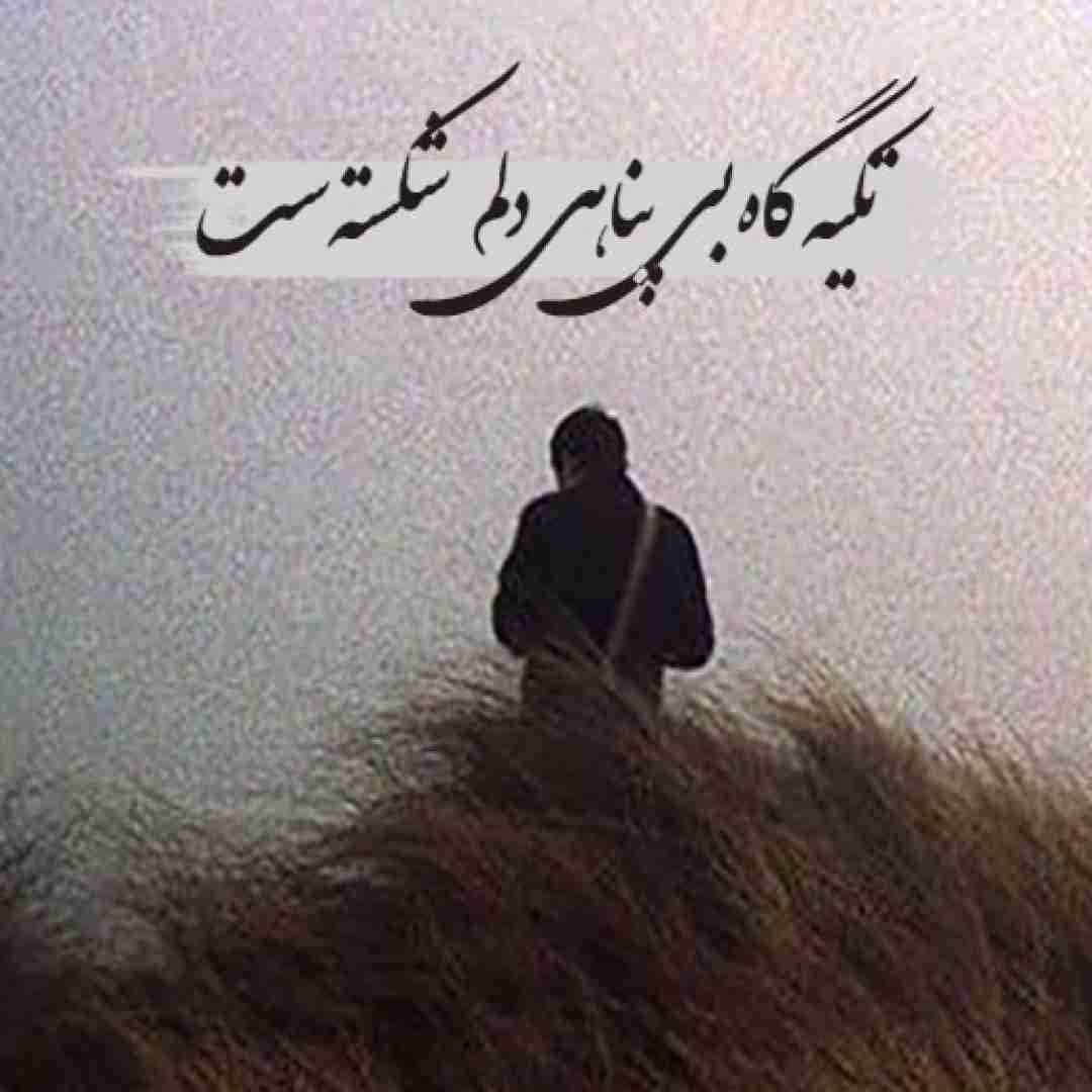 من بنالم عاشقی شکسته بالم