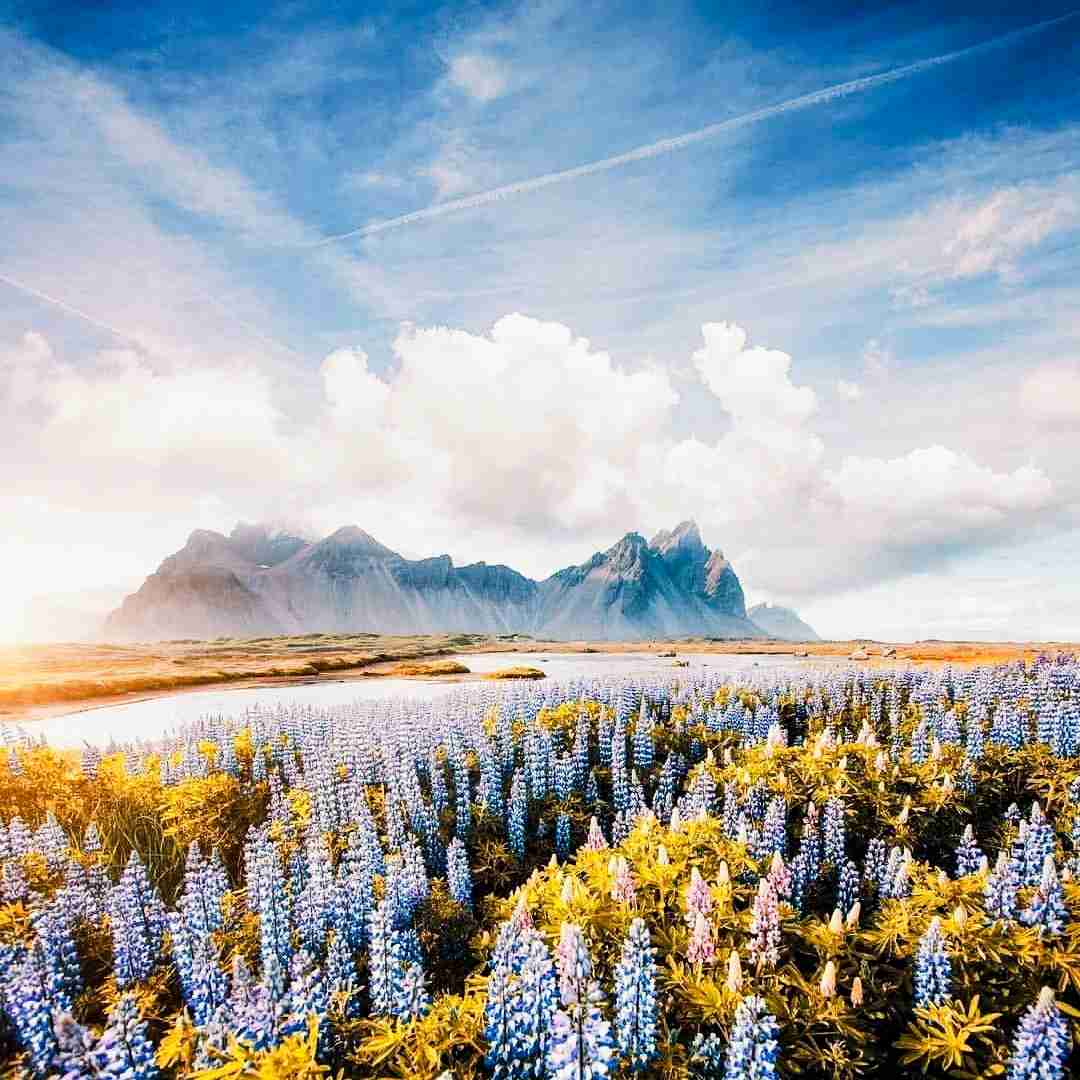 دلم دلم گریه کن دنیا چقد سیاهه
