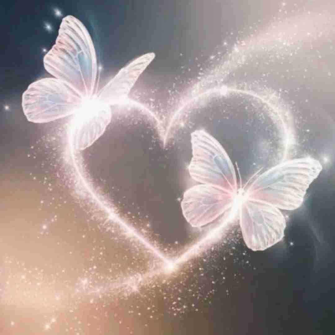 رد و برقی شده ام مزرعه رو برپا کن