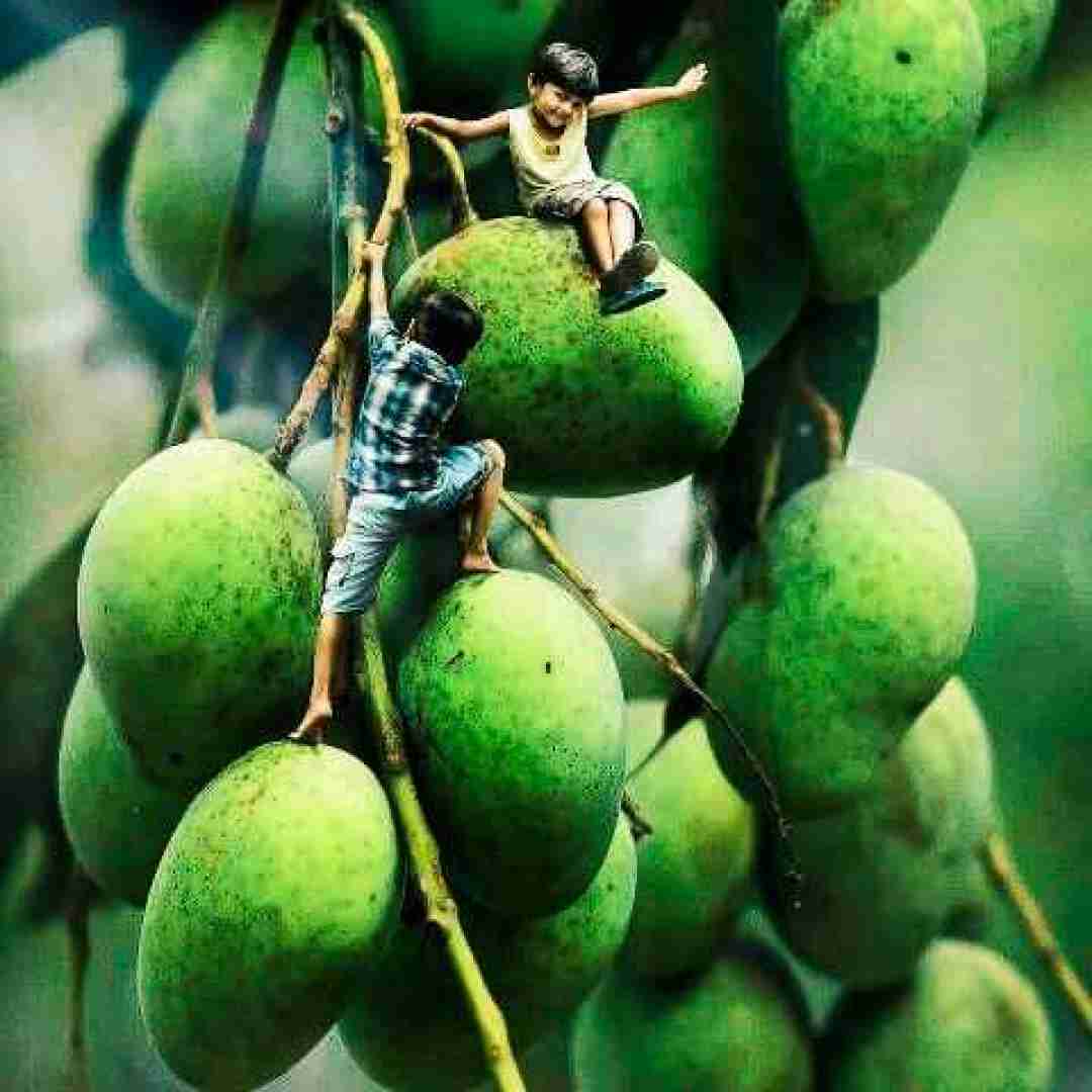 تو بال پرواز منی