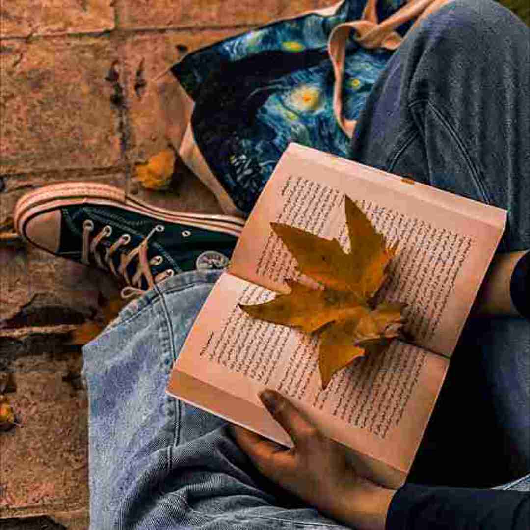 الا ای دلبر من دلبر من