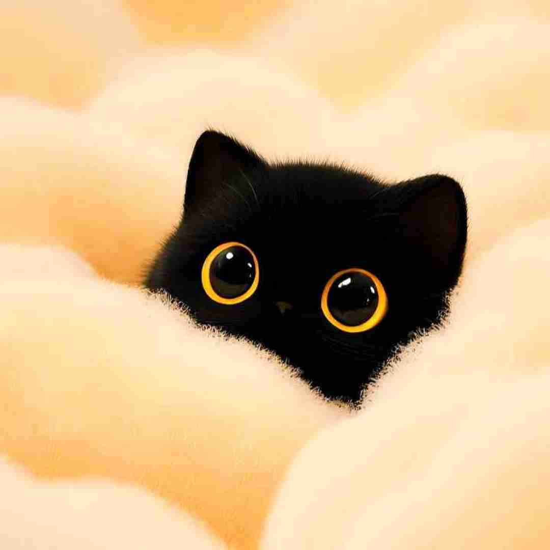 محسن جلیل زاده ترمه و اطلس بیارید 