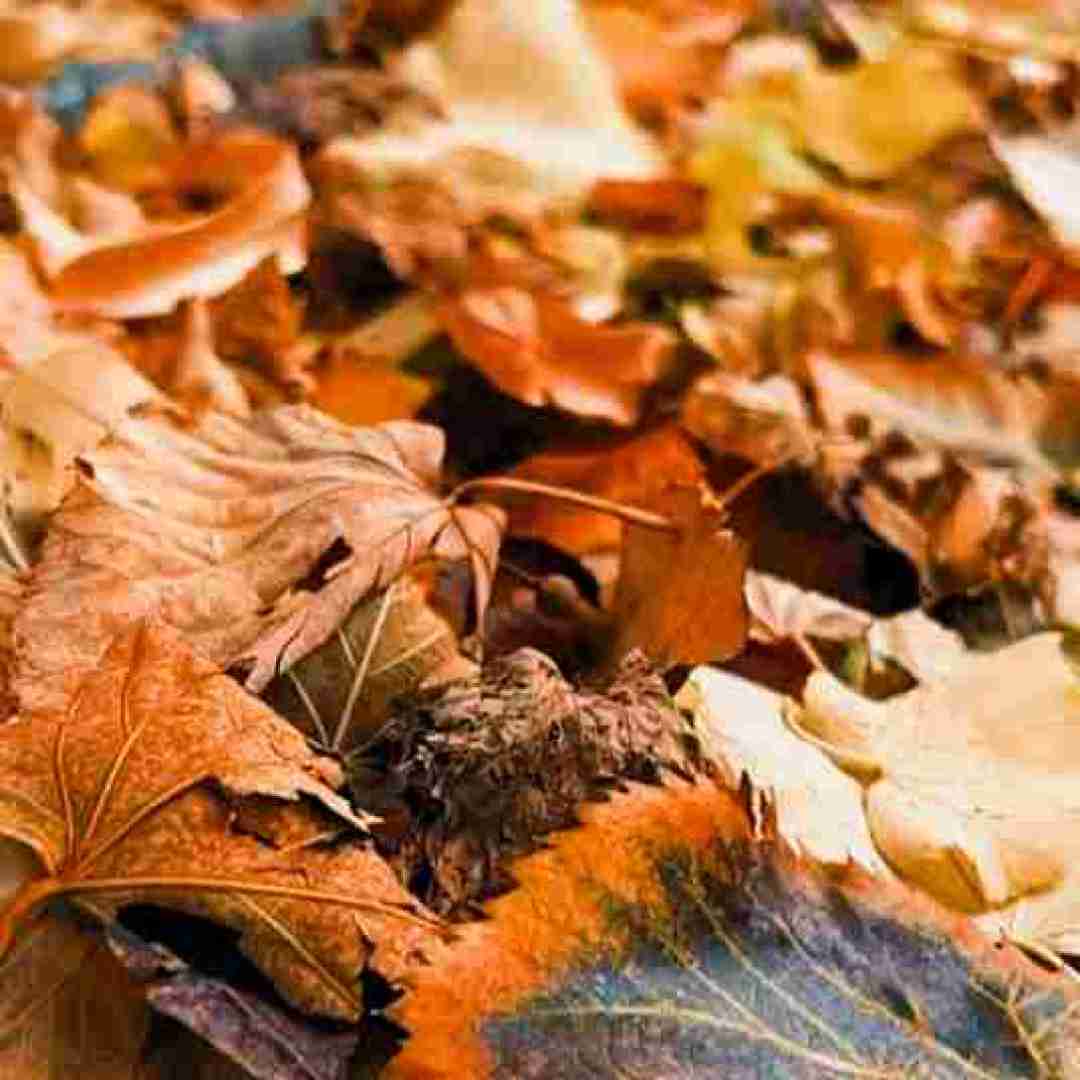 ساختی ازم تو یه ادم بی خدا ساختی ازم تو یه ادم بی خدا