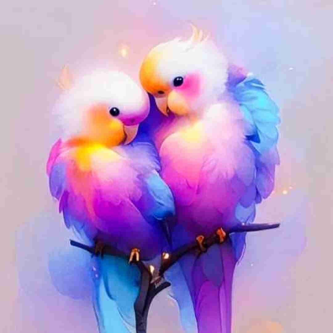 وی ای درو واز نکنی صفا نداره درو واز کن