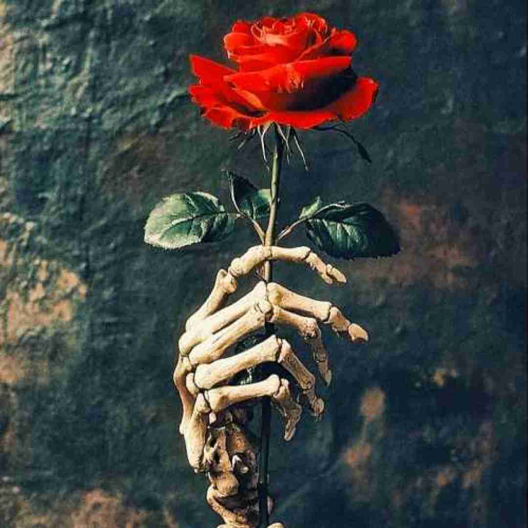 تهران دریفت ای کافی