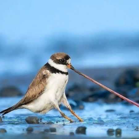 اگه مال من بودی اگه مال من بودی
