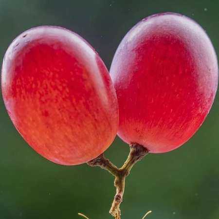 الان نیمه شبه ولی الان به یادتم