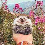 دانلود آهنگ جدید با لبات قهرم با چشات قهرم