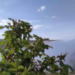 دانلود آهنگ جدید با تو همه چی خوبه