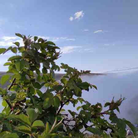 با تو همه چی خوبه