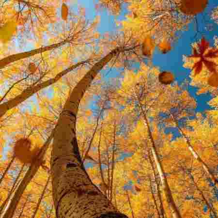 با تو هیچ‌جا دوراهی نیست