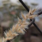 دانلود آهنگ جدید بگو که دیونتم کل موهاتو بریز رو صورتم