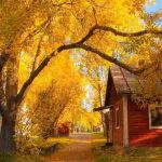 دانلود آهنگ جدید مامان نگاه کن منو