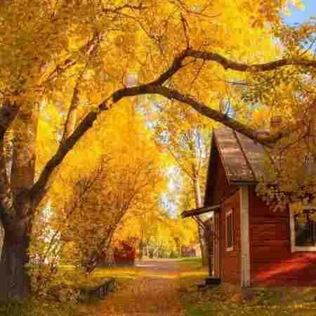 مامان نگاه کن منو مامان نگاه کن منو