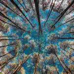 دانلود آهنگ جدید من هر شب میگیرم ی ور سرگیجه