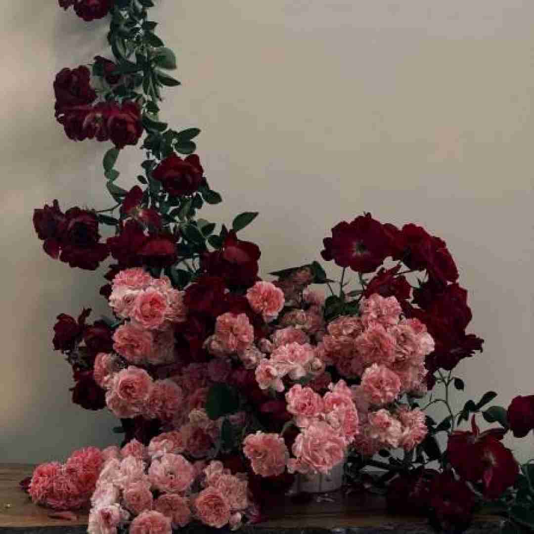 مثل برد بود باختن قلبم به تو مثل برد بود باختن قلبم به تو