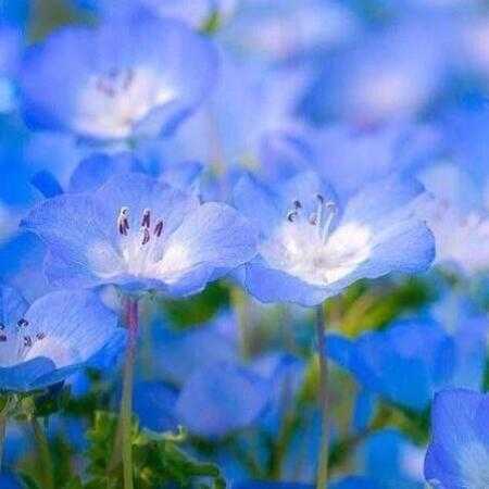 نبودم شده عادی