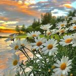 دانلود آهنگ جدید رفتی الان موندم بی تو تنها