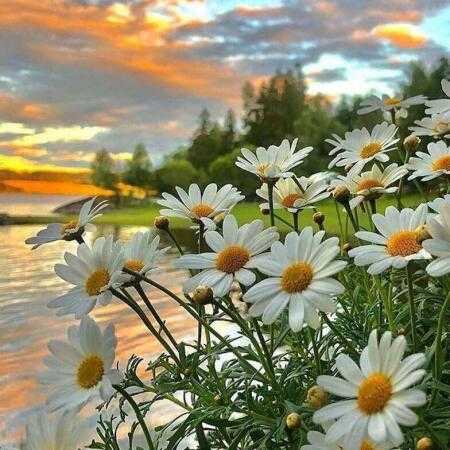 رفتی الان موندم بی تو تنها رفتی الان موندم بی تو تنها