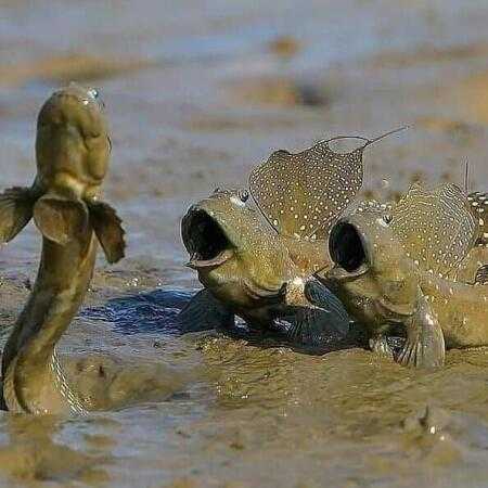 تو کجایی الان من موندمو مستی