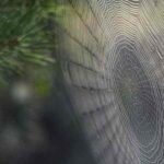 دانلود آهنگ جدید بهم کردی بی محلی دانلود آهنگ جدید بهم کردی بی محلی