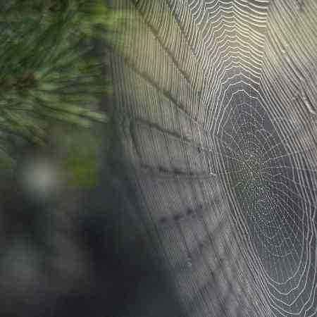 بهم کردی بی محلی بهم کردی بی محلی