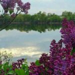 دانلود آهنگ جدید عشق نبود تو چشات دانلود آهنگ جدید عشق نبود تو چشات