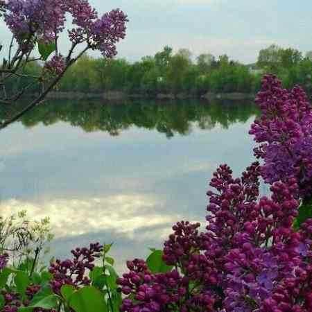 عشق نبود تو چشات عشق نبود تو چشات