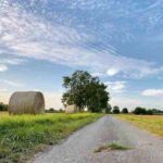 دانلود آهنگ جدید حالم بد بود تو حالمو بد میکردی