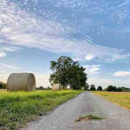 حالم بد بود تو حالمو بد میکردی