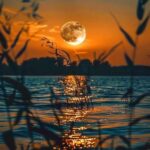 دانلود آهنگ جدید تو که در تاریکیم دریای نوری با صدای زن