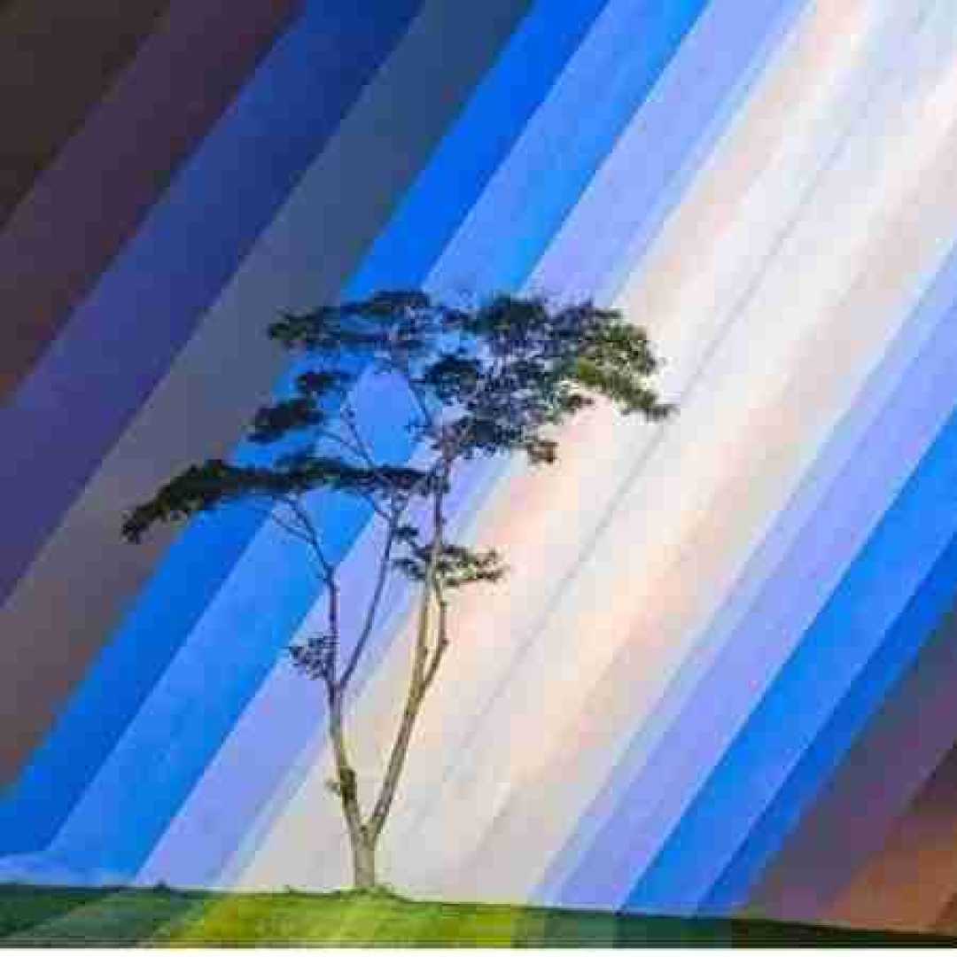 دیگه امسال بهار من کوه نشومه